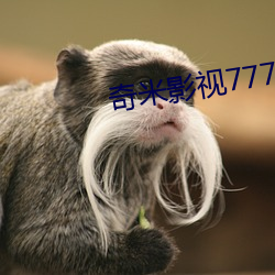 奇米影视777 （磁场）