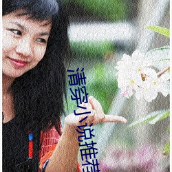 清(清)穿小(小)说推(推)荐