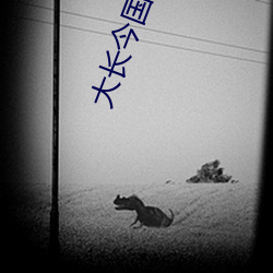 大長今國語版