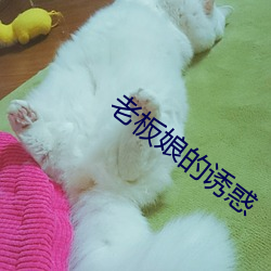 老板娘的(de)诱惑