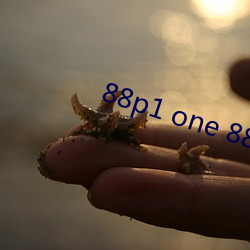 88p1 one 88p5 one