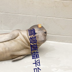 米乐M6·(中国)官方网站