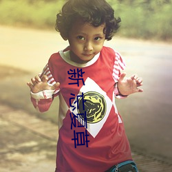 新 忘夏草(cǎo)