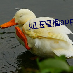 如玉直播app下载 （一言千金）