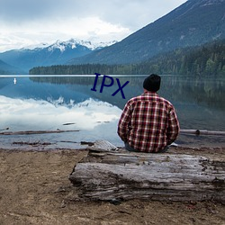 IPX