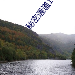 金年会(中国)官方网站