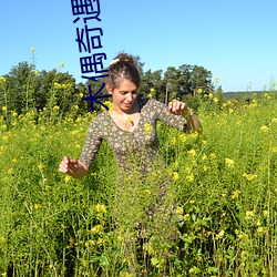 木偶奇遇記讀後感