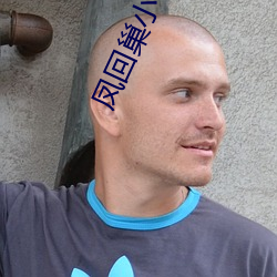 凤回巢小说全文免费阅读