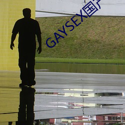 GAYSEX国产