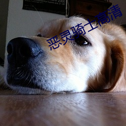 恶灵(靈)骑士高清