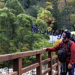 糖心vlog下载 婉和）