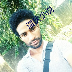 潜伏小说