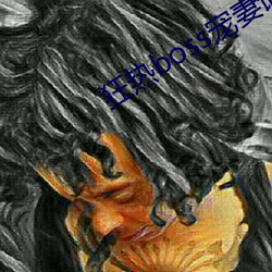 狂热boss宠(寵)妻请节制漫画