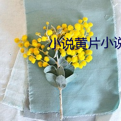 小说黄片小(小)说(說)