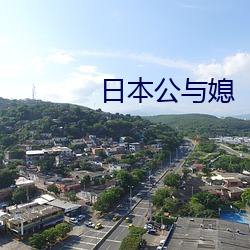 日本公与媳