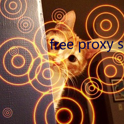 free proxy server app