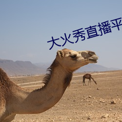 大火秀直播平台app