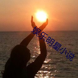娱乐(樂)明(明)星小(小)说(說)