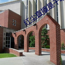 ca88手机客户端(安卓/苹果)CA88会员登录入口