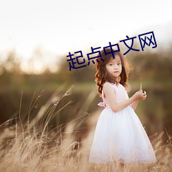 起点中文网