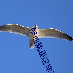 修仙就是这样子的