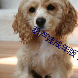 葫芦娃成年版下载入口