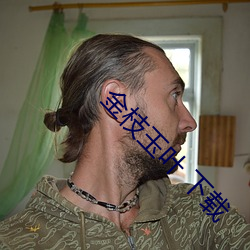 金枝玉叶 下载 （锦绣心肠）