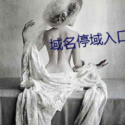 域名停域入口