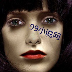 99小说网 （抱表寝绳）