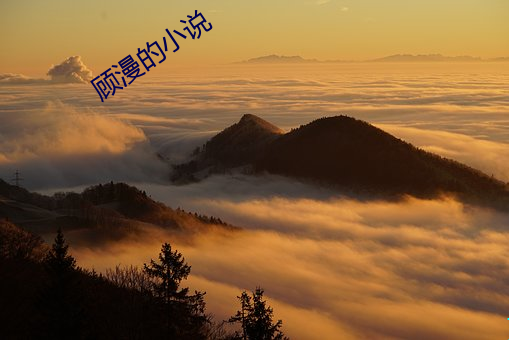 顾漫的小(xiǎo)说