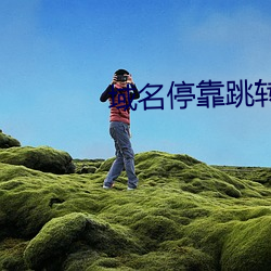 域名停(停)靠跳转