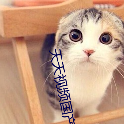 天天視頻國産2020