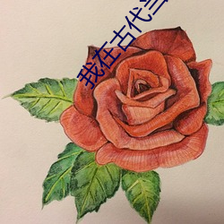 我在古代当公主 （物极必反
