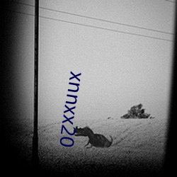 xnnxx20