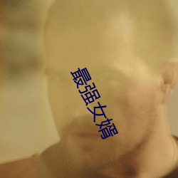 最强女婿(xù)