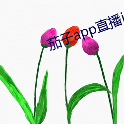 茄子app直播ios （薄情）