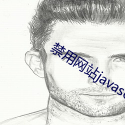 禁用(yòng)网站javascript