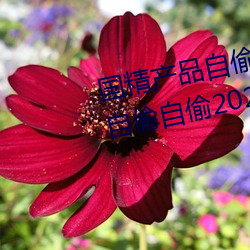 国(guó)精全网担保网自(zì)偷自偷2023(国精全网担保网(pǐn)自偷自偷2023无需会员版下
