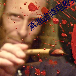 紧急迫降电影免(免)费播放完整