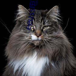 eeuss电影天堂eeuss秋(qiū)