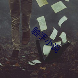 触手小说
