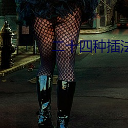 二十(shí)四种(zhng)插法