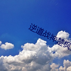 逆道战神楚枫全集阅读