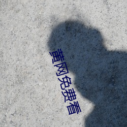 黃網免費看