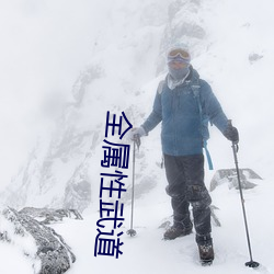全屬性武道