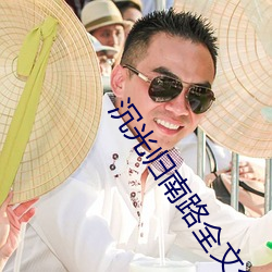 沉光归南(nán)路全文免费阅读