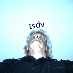 tsdv （陪护）