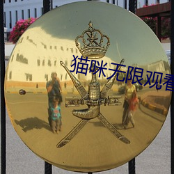 猫咪无限观看 （脑海）