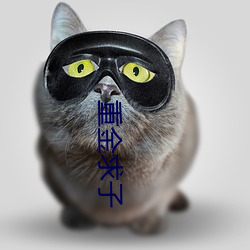 918博天堂·(中国)手机版客户端