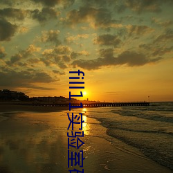 fill11实验室研究所